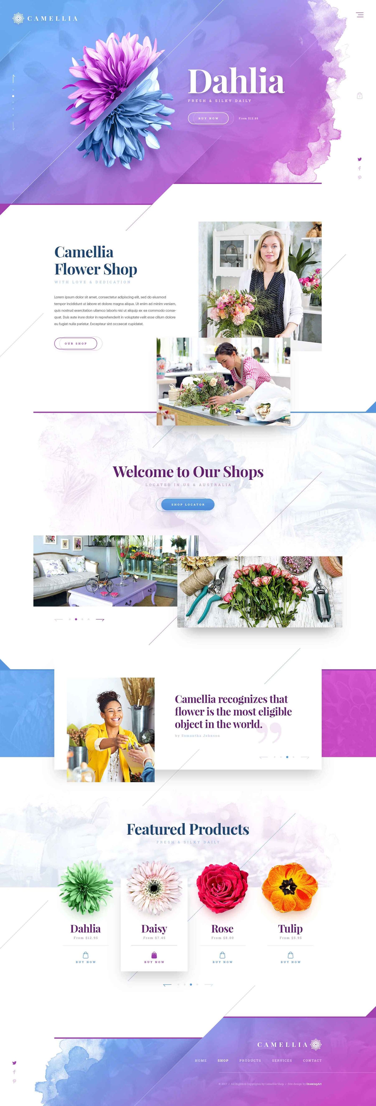 Website design project
